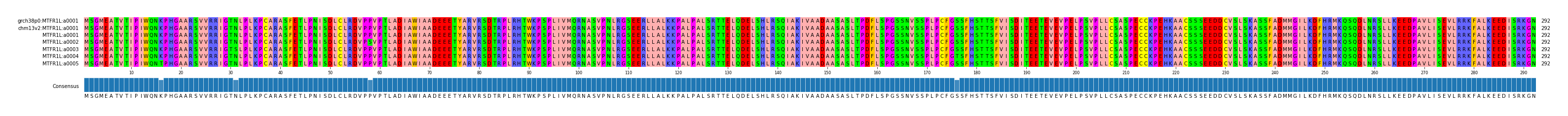 Multiple Alignments (by translate haplotype frequency)