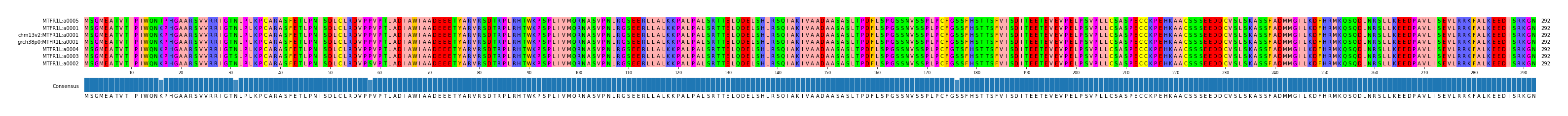 Multiple Alignments (by translate haplotype similarity)