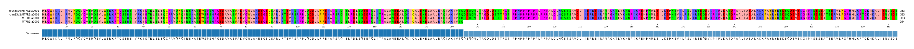 Multiple Alignments (by translate haplotype similarity)
