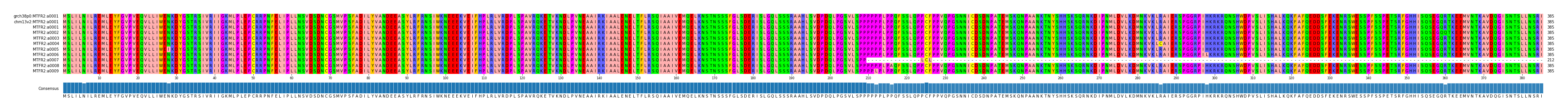 Multiple Alignments (by translate haplotype frequency)