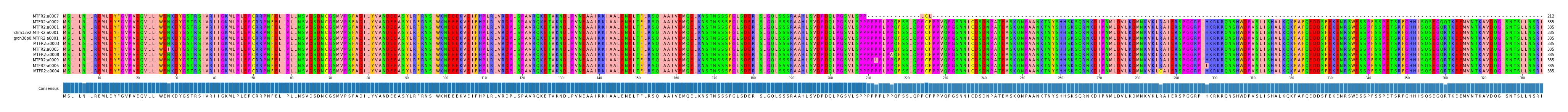 Multiple Alignments (by translate haplotype similarity)