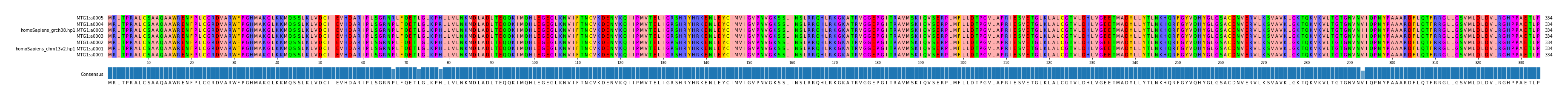 Multiple Alignments (by translate haplotype similarity)