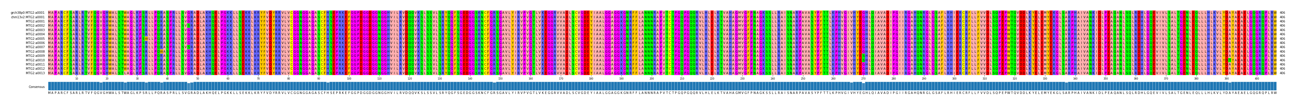 Multiple Alignments (by translate haplotype frequency)