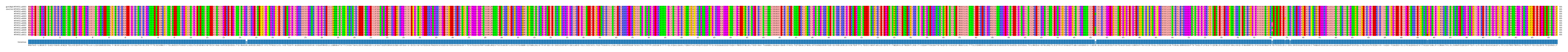 Multiple Alignments (by translate haplotype frequency)