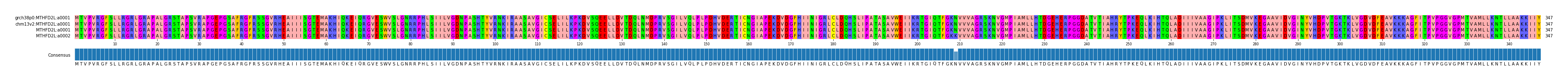 Multiple Alignments (by translate haplotype frequency)