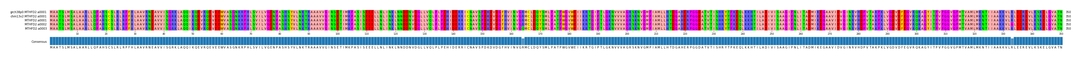 Multiple Alignments (by translate haplotype frequency)
