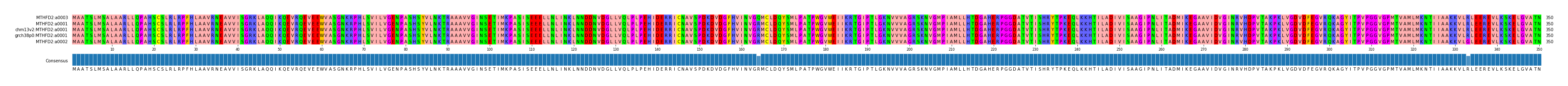 Multiple Alignments (by translate haplotype similarity)