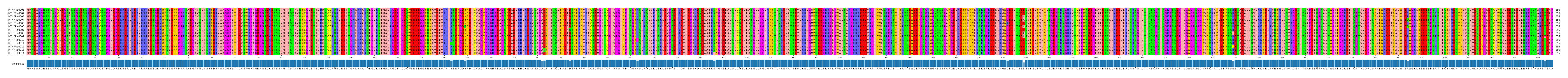 Multiple Alignments (by translate haplotype frequency)