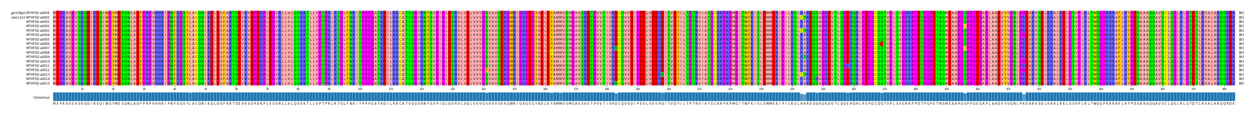 Multiple Alignments (by translate haplotype frequency)