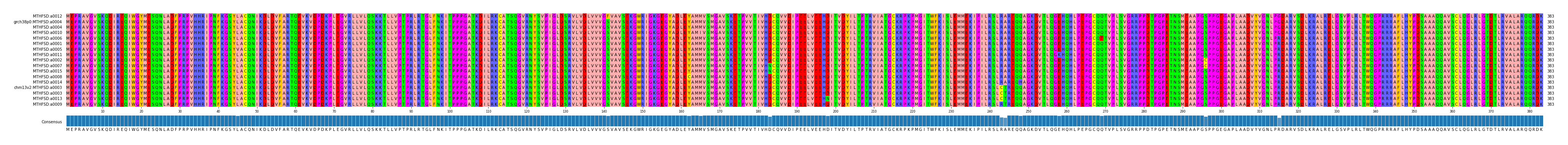 Multiple Alignments (by translate haplotype similarity)