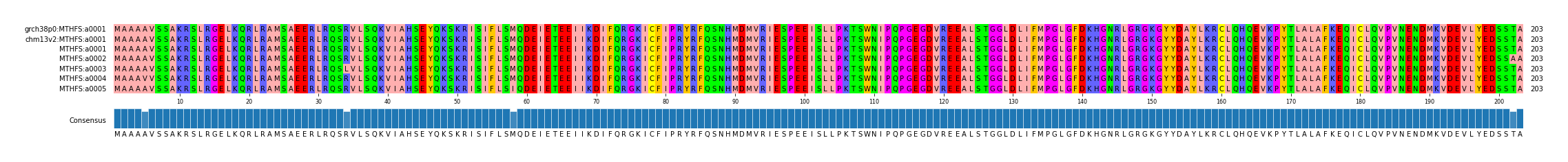 Multiple Alignments (by translate haplotype frequency)