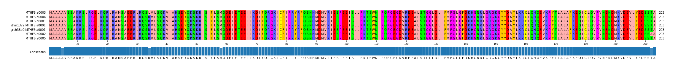 Multiple Alignments (by translate haplotype similarity)