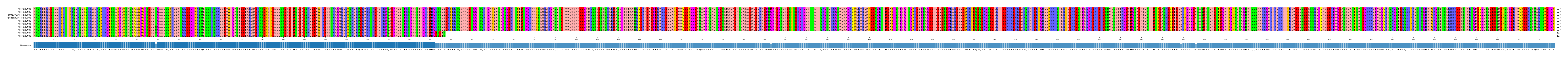 Multiple Alignments (by translate haplotype similarity)