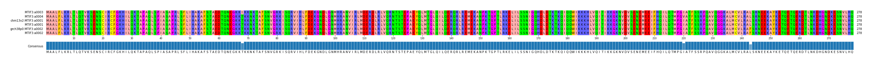 Multiple Alignments (by translate haplotype similarity)