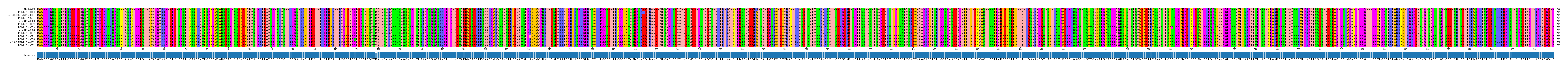 Multiple Alignments (by translate haplotype similarity)
