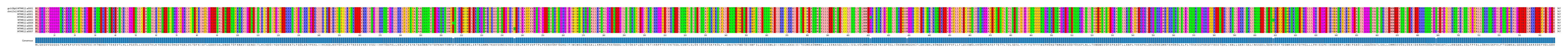 Multiple Alignments (by translate haplotype frequency)