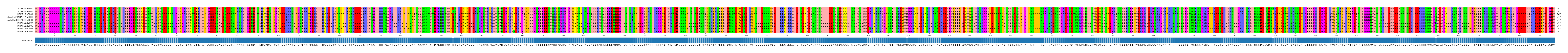 Multiple Alignments (by translate haplotype similarity)