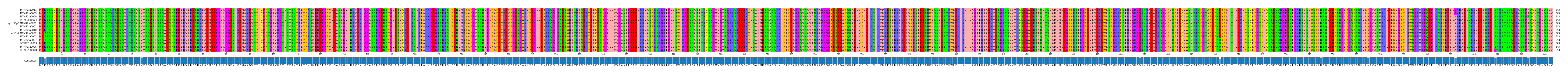 Multiple Alignments (by translate haplotype similarity)