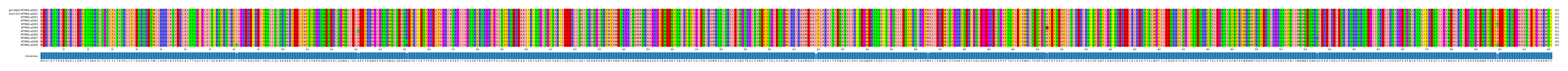 Multiple Alignments (by translate haplotype frequency)