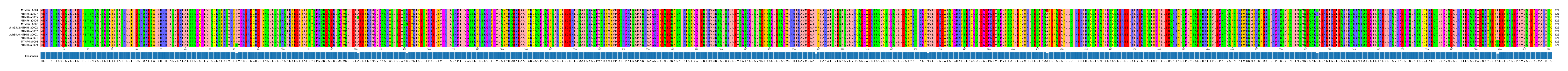 Multiple Alignments (by translate haplotype similarity)