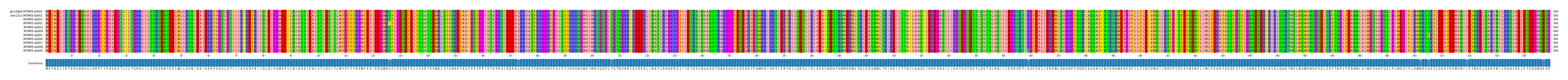 Multiple Alignments (by translate haplotype frequency)