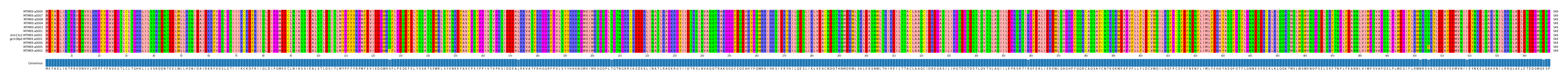 Multiple Alignments (by translate haplotype similarity)