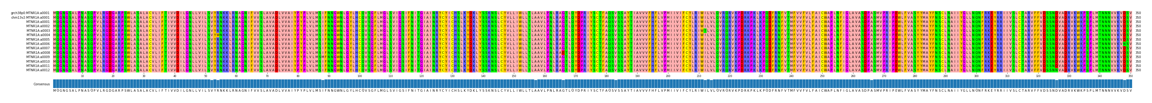 Multiple Alignments (by translate haplotype frequency)