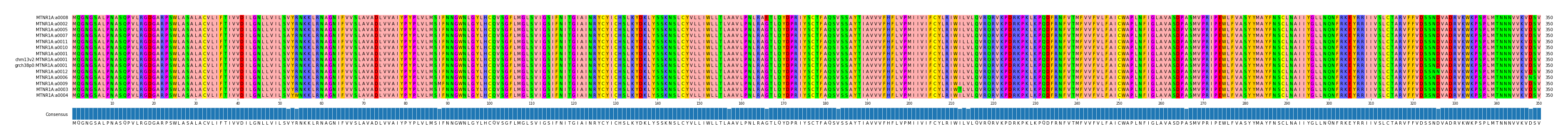 Multiple Alignments (by translate haplotype similarity)