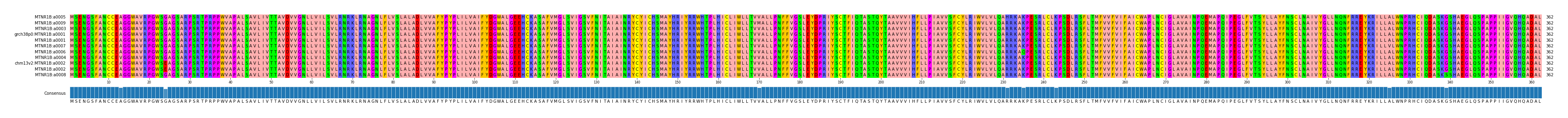 Multiple Alignments (by translate haplotype similarity)
