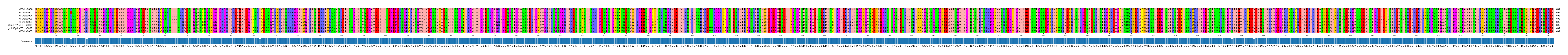 Multiple Alignments (by translate haplotype similarity)