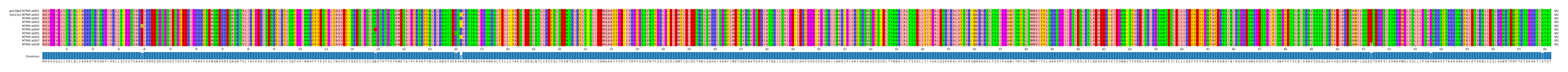 Multiple Alignments (by translate haplotype frequency)