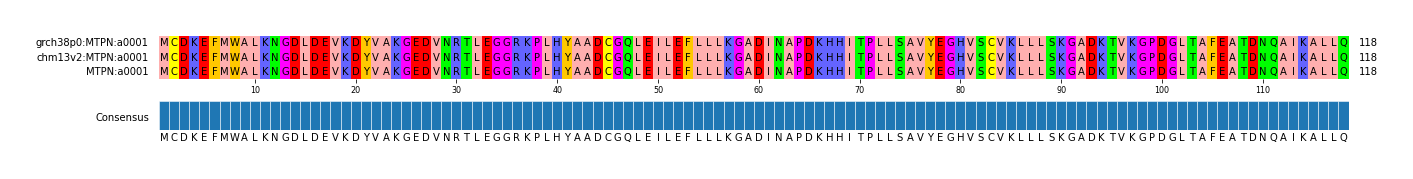 Multiple Alignments (by translate haplotype similarity)