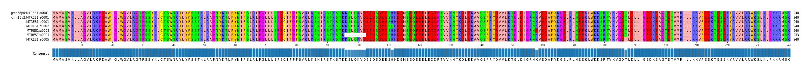 Multiple Alignments (by translate haplotype frequency)
