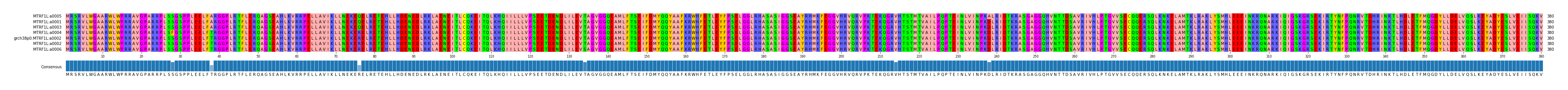 Multiple Alignments (by translate haplotype similarity)