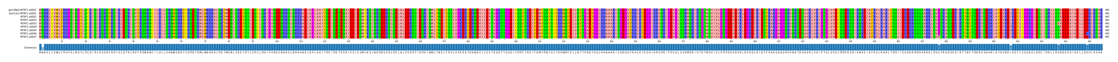 Multiple Alignments (by translate haplotype frequency)