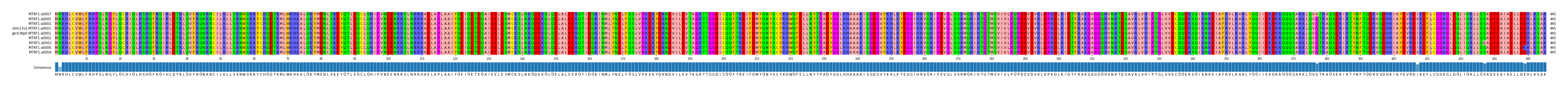 Multiple Alignments (by translate haplotype similarity)