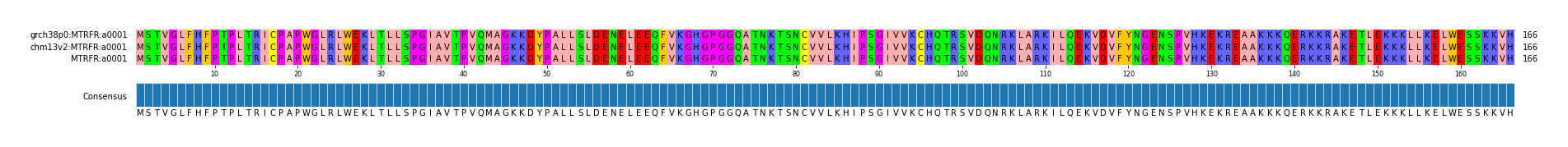 Multiple Alignments (by translate haplotype similarity)