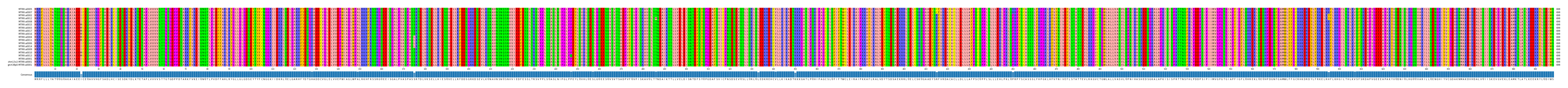 Multiple Alignments (by translate haplotype similarity)