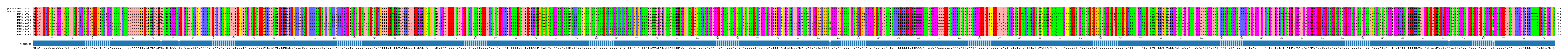 Multiple Alignments (by translate haplotype frequency)