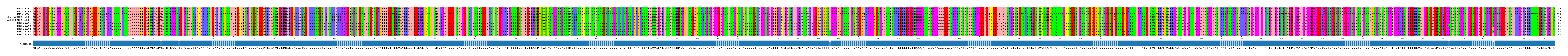 Multiple Alignments (by translate haplotype similarity)
