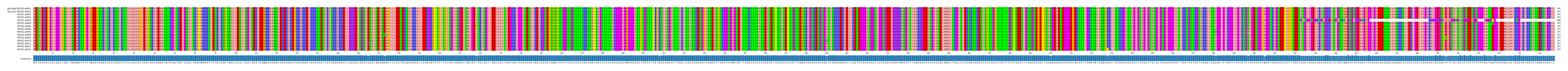 Multiple Alignments (by translate haplotype frequency)