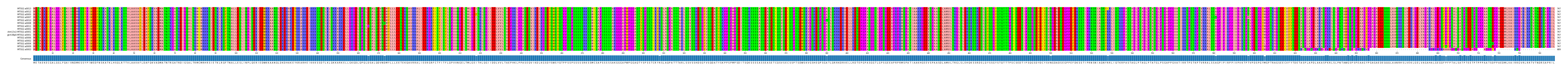 Multiple Alignments (by translate haplotype similarity)