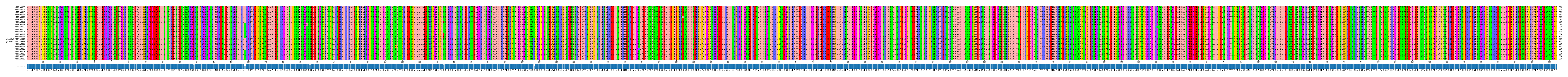 Multiple Alignments (by translate haplotype similarity)