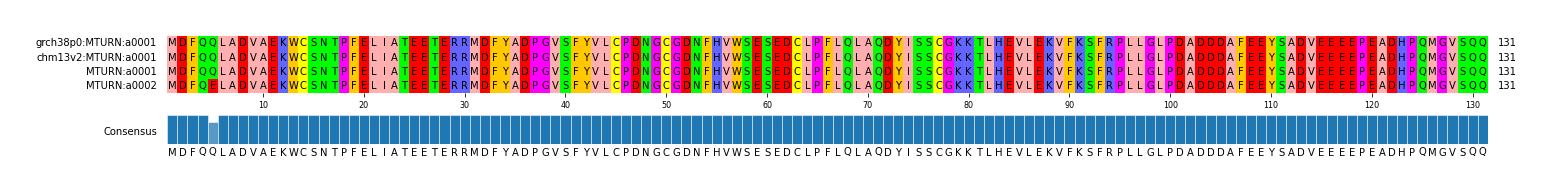 Multiple Alignments (by translate haplotype similarity)