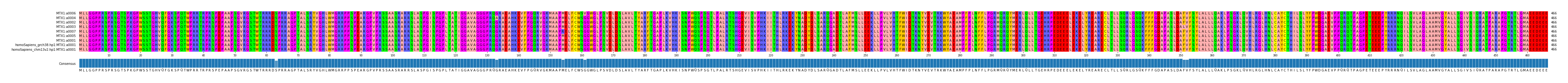 Multiple Alignments (by translate haplotype similarity)