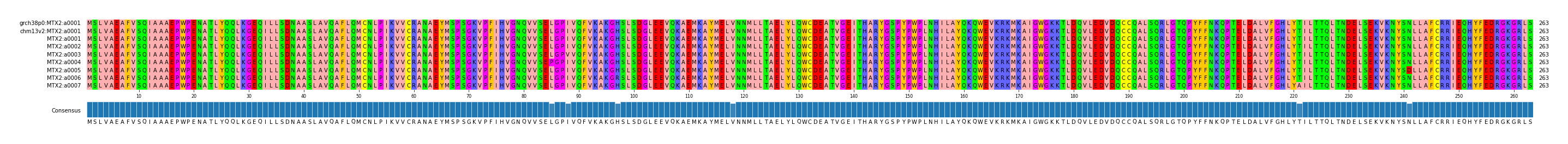 Multiple Alignments (by translate haplotype frequency)
