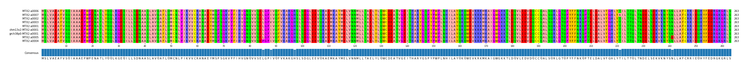 Multiple Alignments (by translate haplotype similarity)