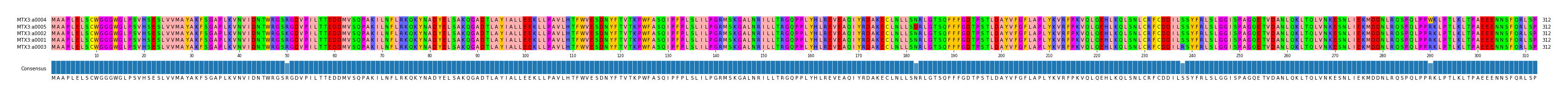 Multiple Alignments (by translate haplotype similarity)