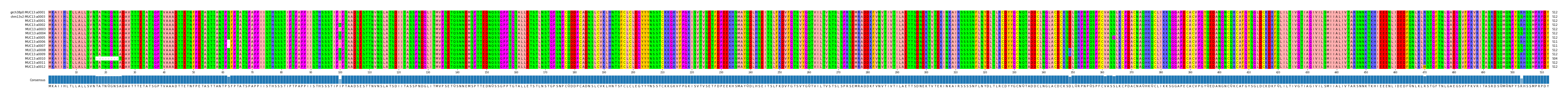 Multiple Alignments (by translate haplotype frequency)