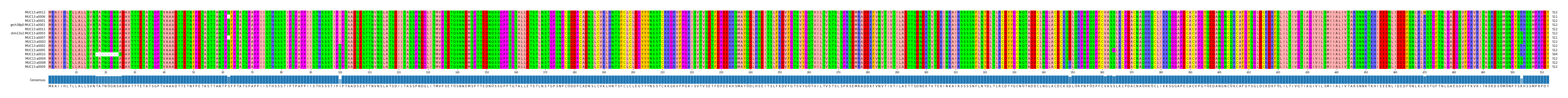 Multiple Alignments (by translate haplotype similarity)